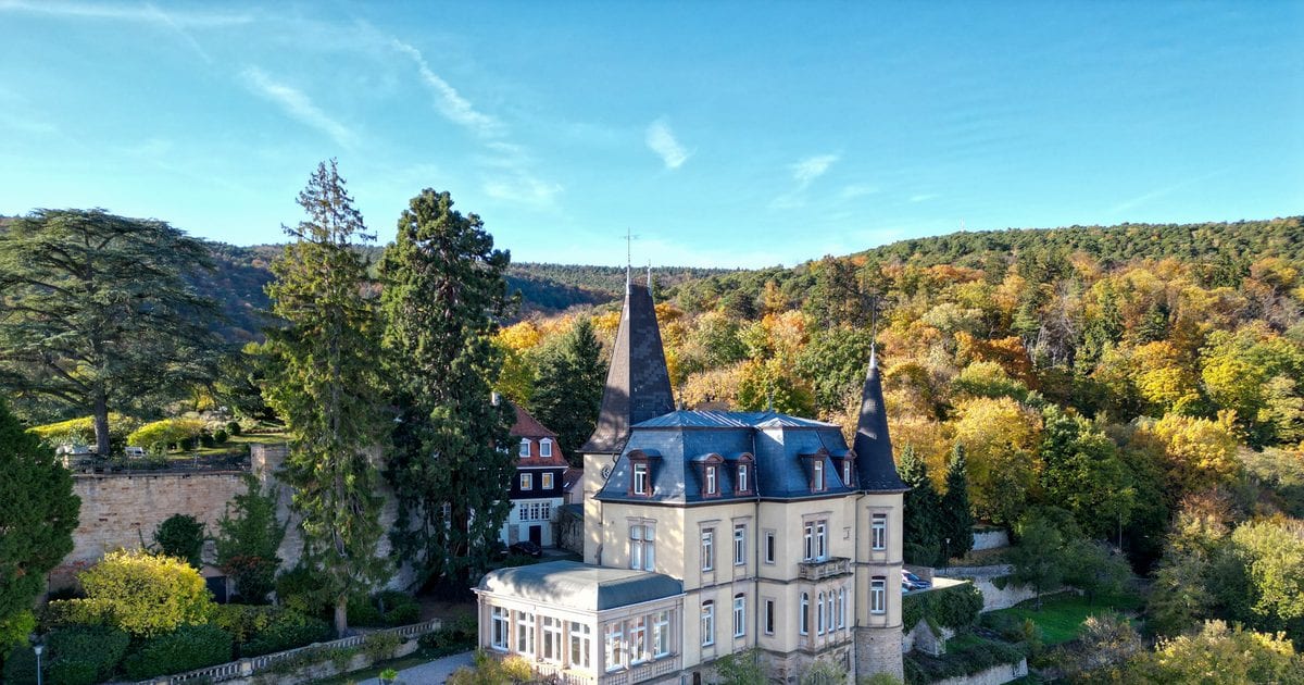 Haardter Schloss · Will Immobilien